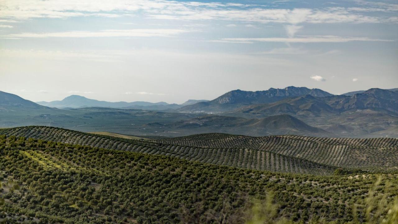 Hostal Rural Pico Aznaitin - Sierra Magina Albanchez de Ubeda Bagian luar foto